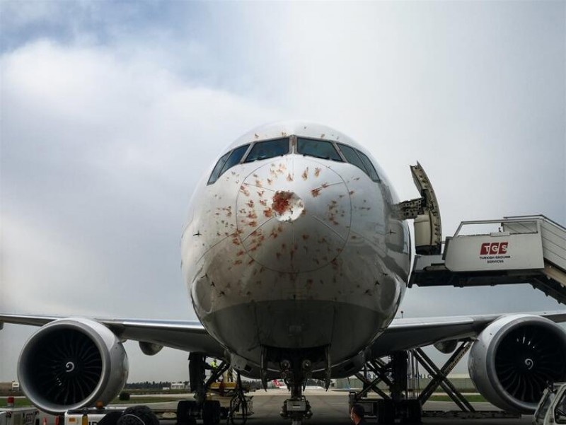 Cargo plane entering the flock of birds made an emergency landing at Atatürk Airport