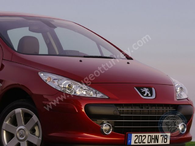 Peugeot 307