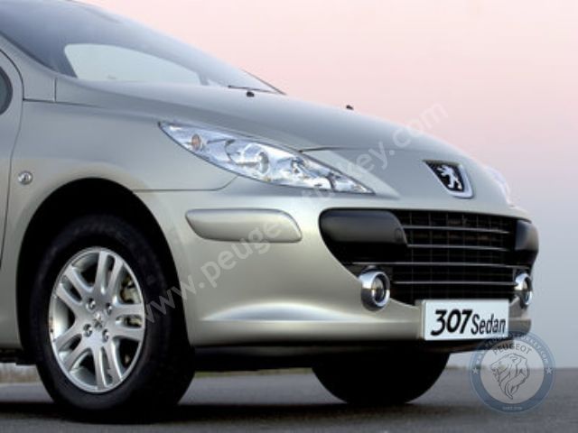 Peugeot 307