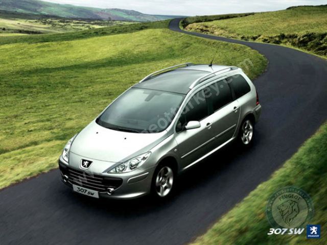 Peugeot 307