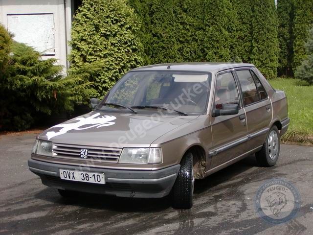 Peugeot 309