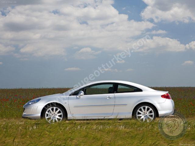 Peugeot 407