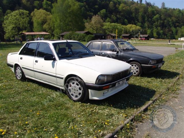 Peugeot 505