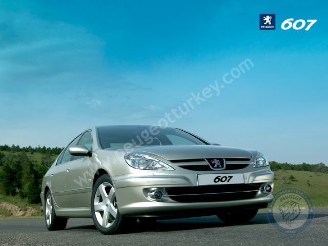 Peugeot 607